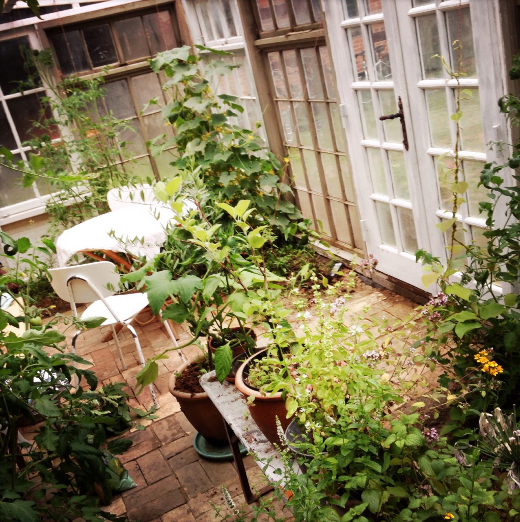 2015-05-23 17.22.29